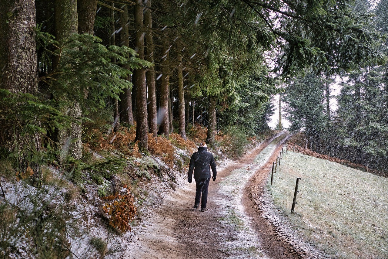 Skogsstig och motionsmiljo