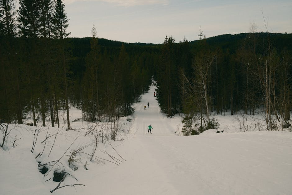 Naturscen med bred utsikt